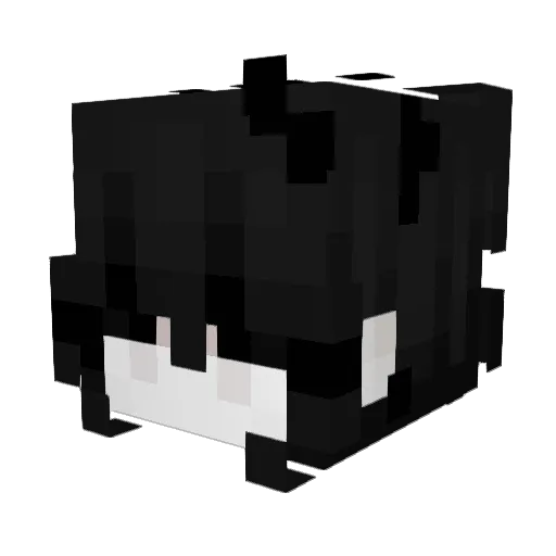 aeleal06 Minecraft avatar head, 3D render