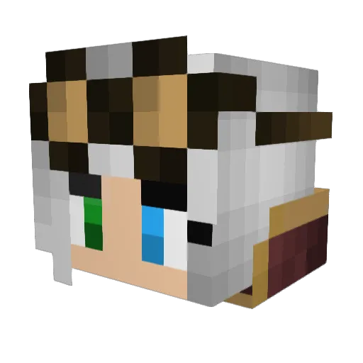aelinfae Minecraft avatar head, 3D render