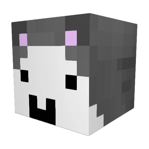 aelingray Minecraft avatar head, 3D render