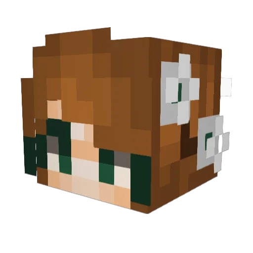 aelitastones13 Minecraft avatar head, 3D render