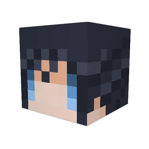 aennn Minecraft avatar head, 3D render