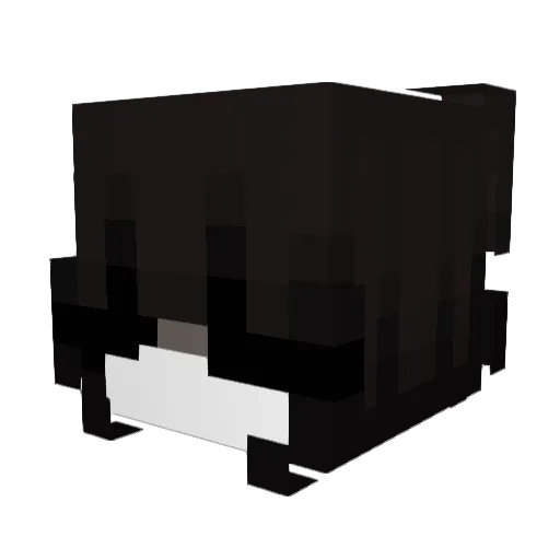 aeokki Minecraft avatar head, 3D render