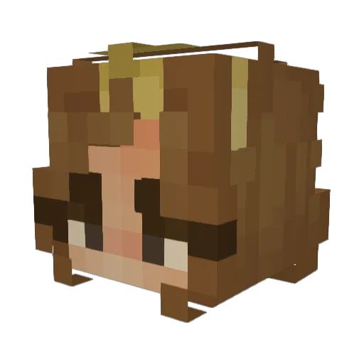 aequics Minecraft avatar head, 3D render