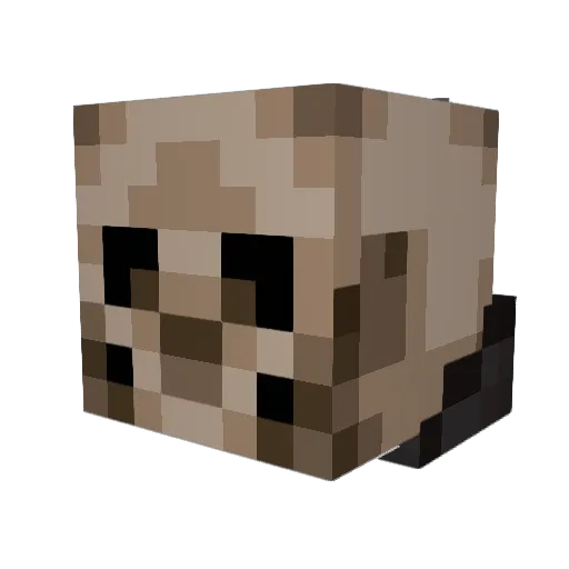 aequio Minecraft avatar head, 3D render