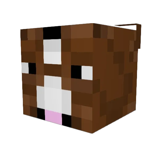 aequitas510 Minecraft avatar head, 3D render