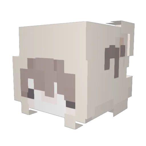 aeratown Minecraft avatar head, 3D render