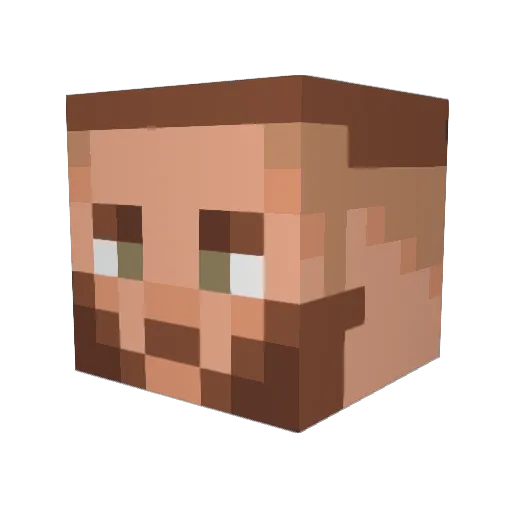 aerbear_ Minecraft avatar head, 3D render