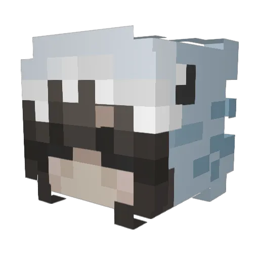 aerichandesu Minecraft avatar head, 3D render
