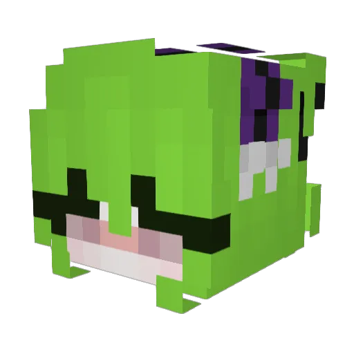 aerisselle Minecraft avatar head, 3D render