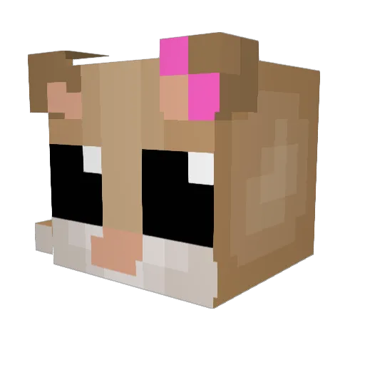 aerisyay Minecraft avatar head, 3D render