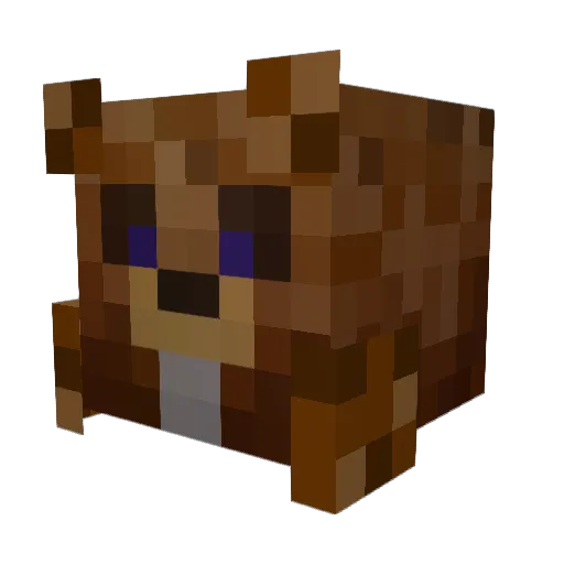 aerkane Minecraft avatar head, 3D render
