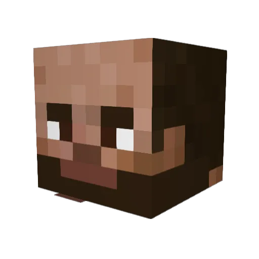aerofx2 Minecraft avatar head, 3D render