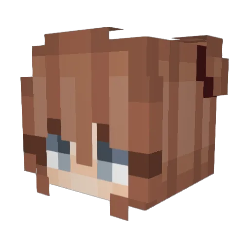 aerohmantics Minecraft avatar head, 3D render