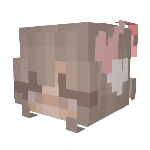 aeroilla Minecraft avatar head, 3D render