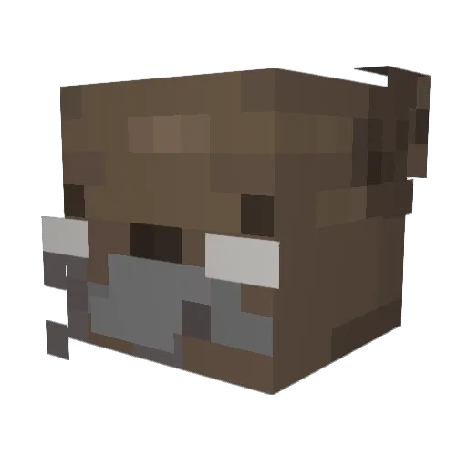 aersc Minecraft avatar head, 3D render