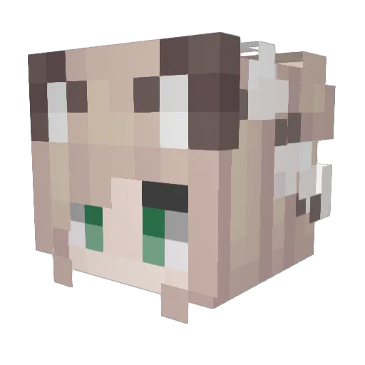 aesenka Minecraft avatar head, 3D render