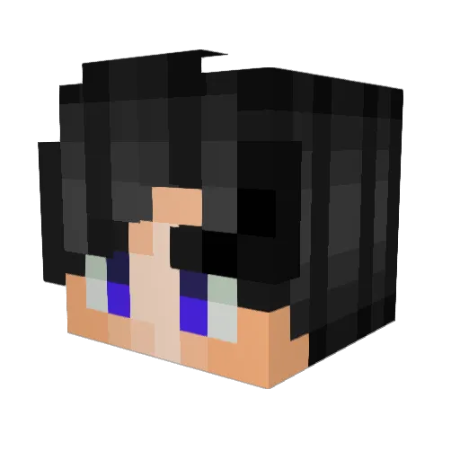 aest12 Minecraft avatar head, 3D render