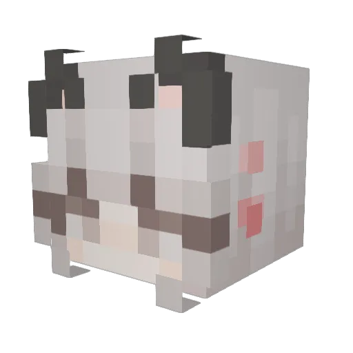 aestgguk Minecraft avatar head, 3D render
