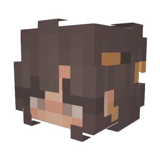 aesth3lic Minecraft avatar head, 3D render