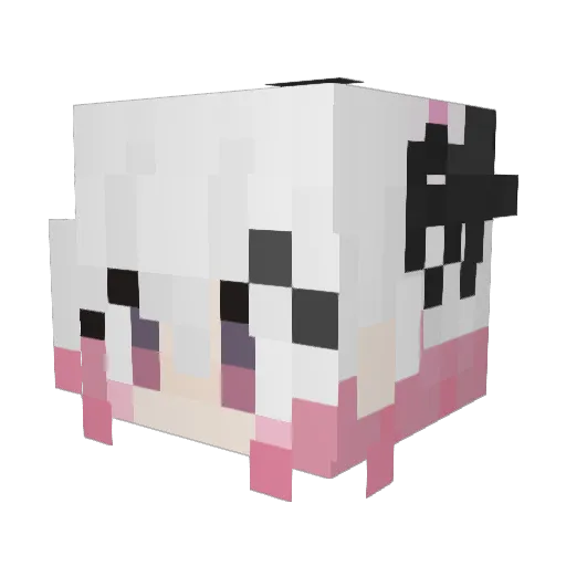aesu12 Minecraft avatar head, 3D render