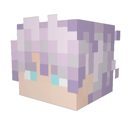 aetchequalsh Minecraft avatar head, 3D render