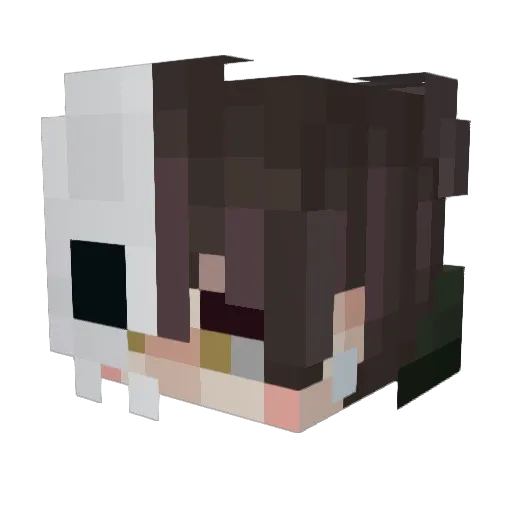 aether_alive Minecraft avatar head, 3D render