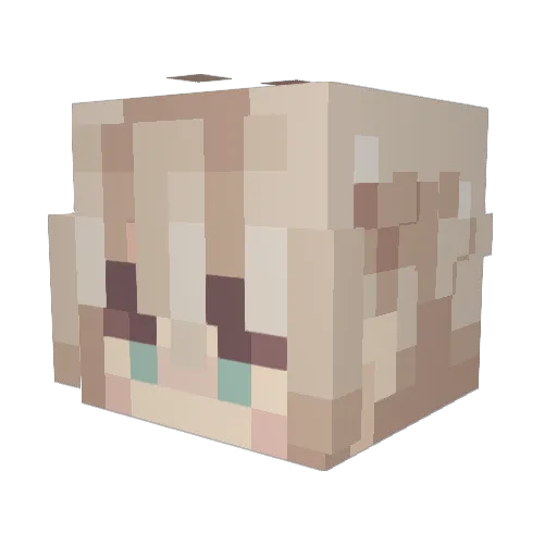 aetherache Minecraft avatar head, 3D render