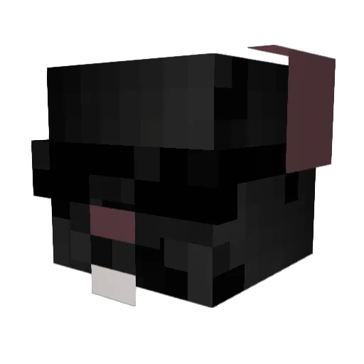 aetherrrr Minecraft avatar head, 3D render