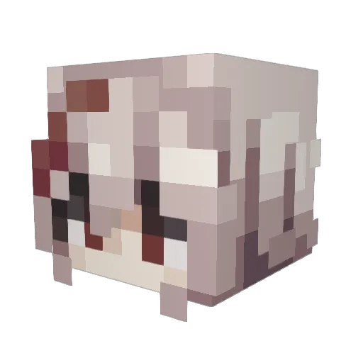 aevrum Minecraft avatar head, 3D render
