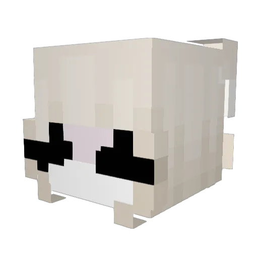 aeyrno Minecraft avatar head, 3D render