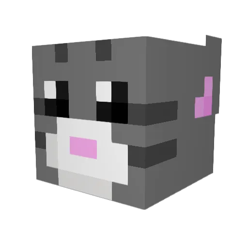 afatsack127 Minecraft avatar head, 3D render