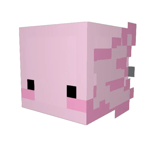 afcrack23 Minecraft avatar head, 3D render