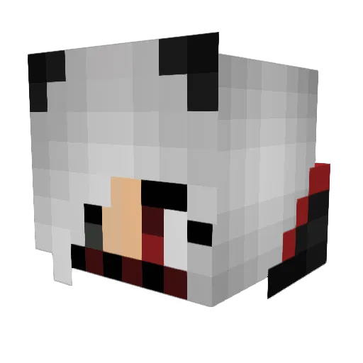 aferro Minecraft avatar head, 3D render