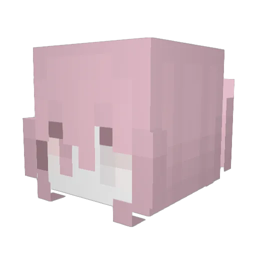 affectivewings Minecraft avatar head, 3D render
