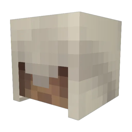 affekrantz15 Minecraft avatar head, 3D render