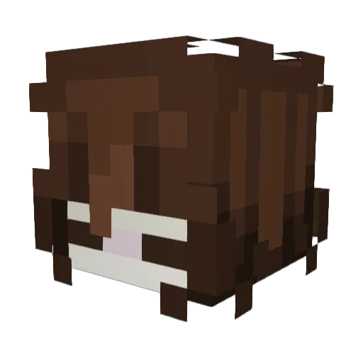 affexionate Minecraft avatar head, 3D render