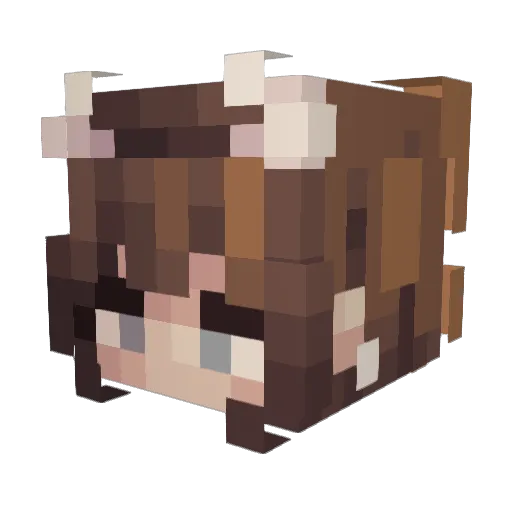 affinityyy Minecraft avatar head, 3D render