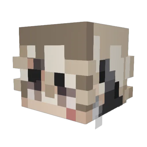 affluently Minecraft avatar head, 3D render