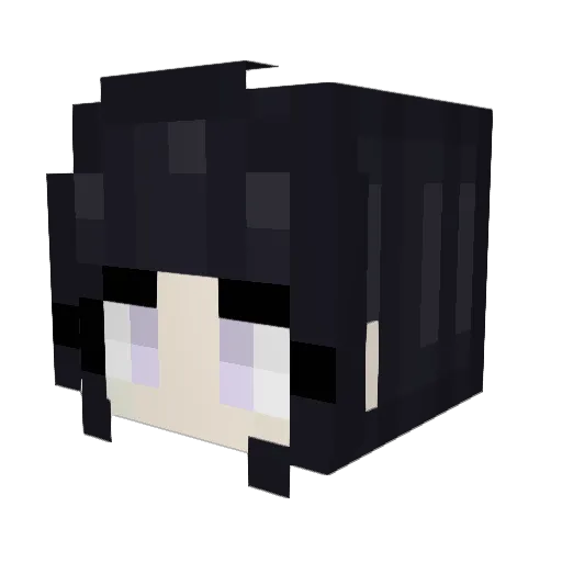 afig Minecraft avatar head, 3D render