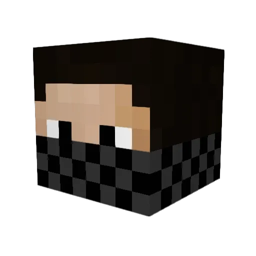 afj_ Minecraft avatar head, 3D render