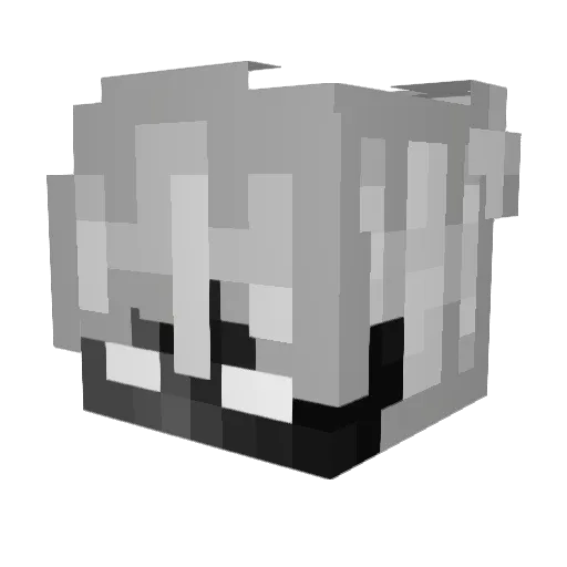 afkPeter19 Minecraft avatar head, 3D render