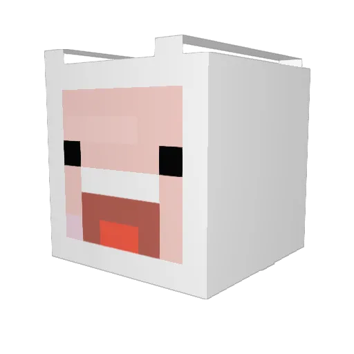 afloe Minecraft avatar head, 3D render