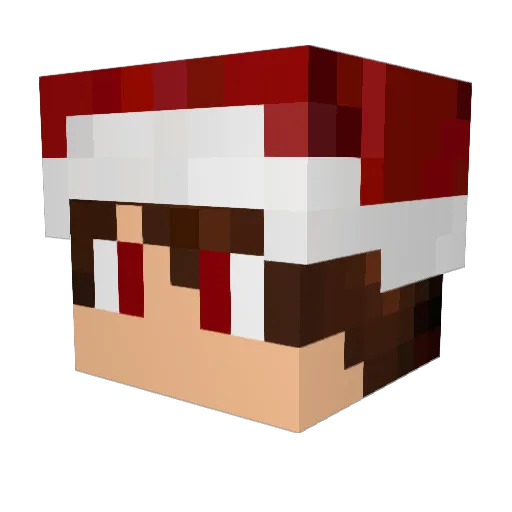 afofaifo Minecraft avatar head, 3D render