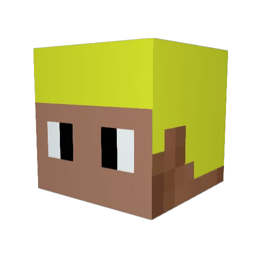 afonsoesteves Minecraft avatar head, 3D render