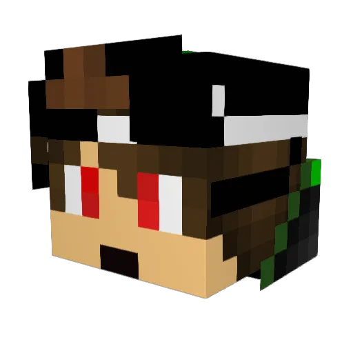 afonsogamer241 Minecraft avatar head, 3D render