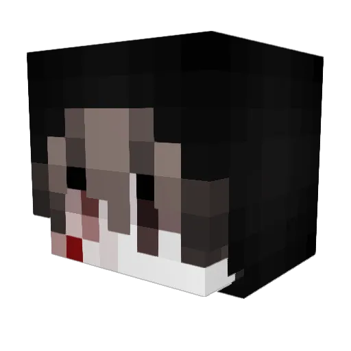 afraidofdark Minecraft avatar head, 3D render