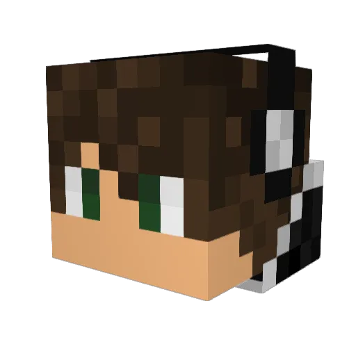 afroduck2 Minecraft avatar head, 3D render