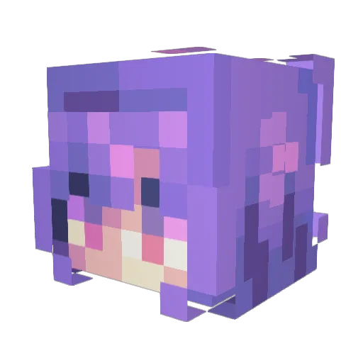 afterskies Minecraft avatar head, 3D render