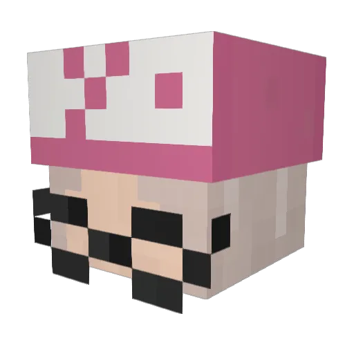 aftryaz Minecraft avatar head, 3D render