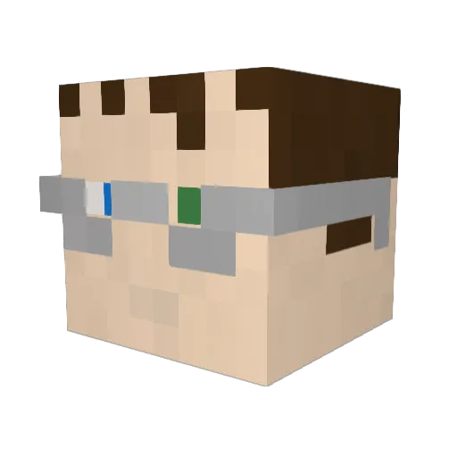 afungi Minecraft avatar head, 3D render